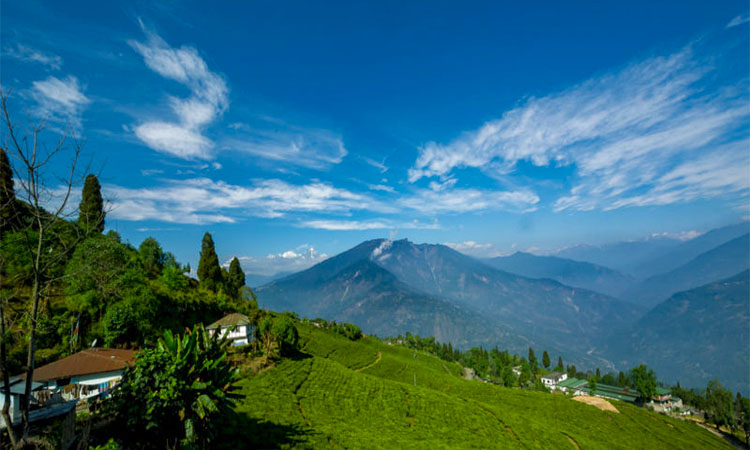Darjeeling - Pelling